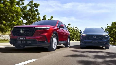 Las ventas de motocicletas y automóviles de Honda Vietnam se desplomaron en febrero de 2026.