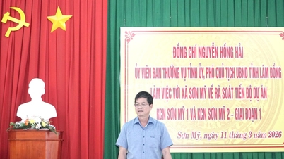 La province de Lam Dong examine les progrès réalisés dans les parcs industriels de Son My 1 et Son My 2.
