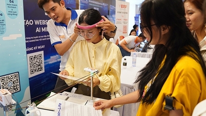Da Nang is accepting applications for support in developing innovative startup projects.