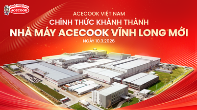 A Acecook Vietnam inaugura sua nova fábrica em Vinh Long com um investimento total de mais de 200 milhões de dólares.