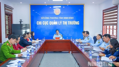 Ninh Binh: Mărfuri contrafăcute în valoare de peste 370 de milioane de VND distruse.