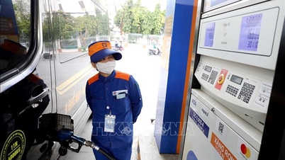 Speculatie tegengaan en stabiliteit op de petroleummarkt waarborgen.