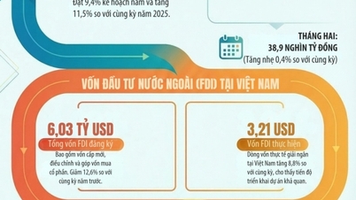 Befektetési helyzet 2026 első két hónapjában: A kifizetett tőke pozitív növekedést mutatott, és a külföldi befektetések megugrottak.