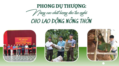 Phong Du Thuong : Améliorer la qualité de la formation professionnelle des travailleurs ruraux.