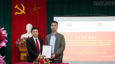 Si Ma Cai a organisé la signature d'un accord intersectoriel sur la mise en œuvre de politiques de crédit au service du développement agricole.