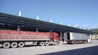 The volume of goods imported and exported through the Quang Tri border gate decreased by nearly 12%.