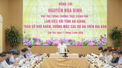 Nguyễn Hồ Binh állandó miniszterelnök-helyettes az An Giang tartomány Népi Bizottságával dolgozik.