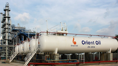 BIDV a confiscat active, inclusiv fabrica și stocul, ca garanție pentru datoria Dong Phuong Petroleum.