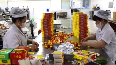 Hai Phong's industrial production index has increased significantly.