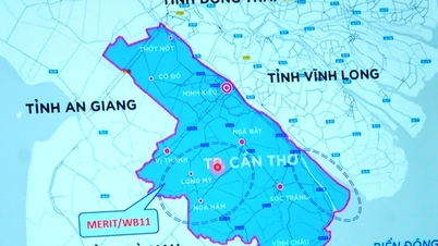 Un projet de près de 3 000 milliards de VND vise à renforcer la résilience climatique à Can Tho.