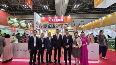 Des entreprises vietnamiennes participeront à Foodex Japan 2026