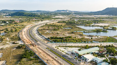 Phu Quoc authorities are demanding that organizations and individuals return the land they have illegally occupied along Provincial Road 975.