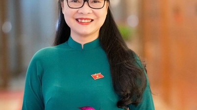Perdana Menteri menunjuk Ibu Nguyen Thi Quyen Thanh sebagai Wakil Menteri Pendidikan dan Pelatihan.