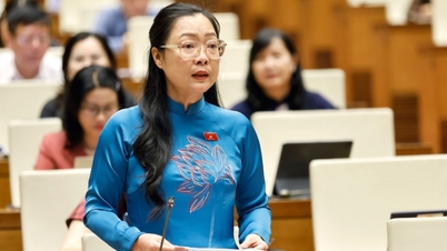 Der stellvertretende Vorsitzende der Provinz Vinh Long wird stellvertretender Minister für Bildung und Ausbildung.