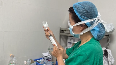 WHO is supporting the emergency delivery of botulinum antitoxin to Da Nang.