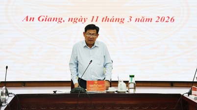 លោក ង៉ូ កុងធុក អនុប្រធានគណៈកម្មាធិការប្រជាជនខេត្តអានយ៉ាង បានធ្វើជាអធិបតីក្នុងកិច្ចប្រជុំក្រុមការងារពិសេស។