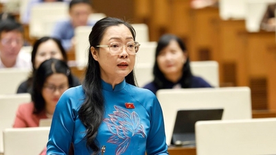グエン・ティ・クエン・タン氏が教育訓練省副大臣に任命された。