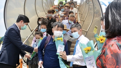 Gia Lai bittet dringend um eine Erhöhung der Fluganzahl, um dem Nationalen Tourismusjahr 2026 gerecht zu werden.