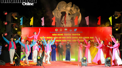 নির্বাচনের প্রচারণার জন্য তাই না ট্রাং ওয়ার্ড একটি সাংস্কৃতিক ও শৈল্পিক অনুষ্ঠানের আয়োজন করে।