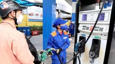 Le prix de l'essence a baissé de près de 4 000 VND/litre.