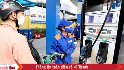 With a sharp drop of nearly 4,000 VND, the price of RON95-III gasoline has fallen to 25,240 VND per liter.