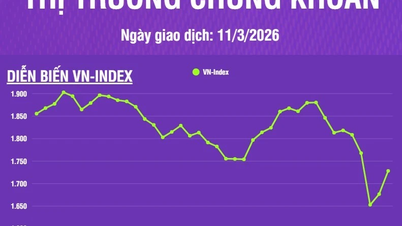 [Infographic] Stock market on March 11th: VN-Index increased by 51.61 points, market liquidity decreased.