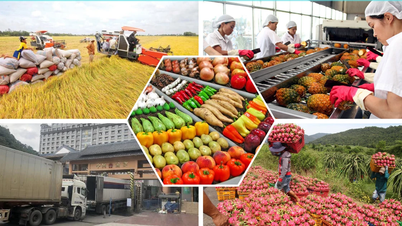 Exports of agricultural, forestry, and aquatic products increased by 17.1% in the first two months of the year.