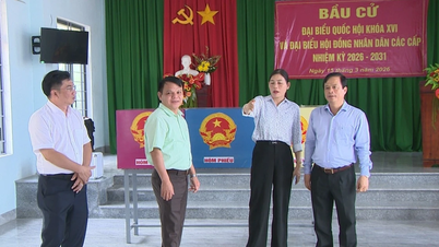El vicepresidente permanente del Comité Popular Provincial, Nguyen Tuan Thanh, inspecciona los preparativos electorales en Phu My Nam.