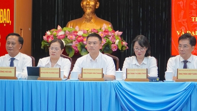 Apa yang diharapkan para pemilih dari para pengacara, dokter, dan direktur Departemen Kehakiman Kota Ho Chi Minh?
