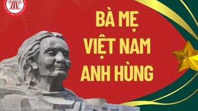 Wir bitten um Meinungen zur posthumen Verleihung des Titels „Heroische vietnamesische Mutter“ an Frau Pham Thi Quyt.