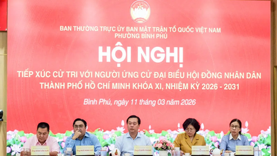 Promovarea îmbunătățirilor politicilor și creșterea calității vieții oamenilor.
