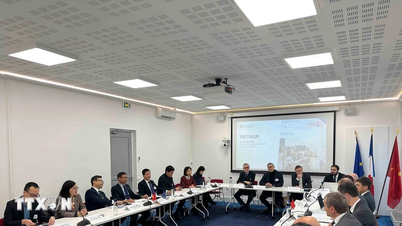Vietnam bevordert de samenwerking met Franse bedrijven op het gebied van energie en hightech.