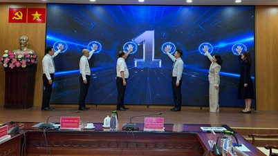 Abriendo camino a la innovación y la transformación digital.