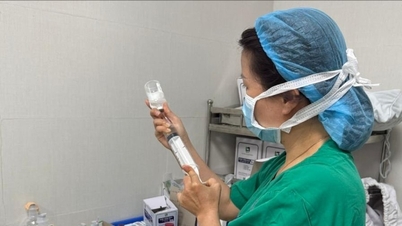 ថ្នាំប្រឆាំងជាតិពុល Botulinum ដែលផ្តល់ជាបន្ទាន់ដោយអង្គការសុខភាពពិភពលោក បានមកដល់ទីក្រុងដាណាំងហើយ ដែលអនុញ្ញាតឱ្យមានការព្យាបាលអ្នកជំងឺទាន់ពេលវេលា។