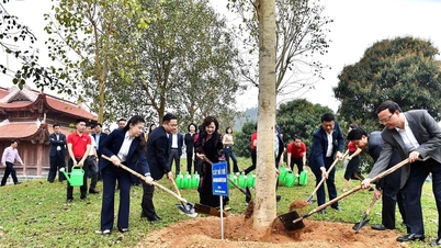 BIDV nam deel aan de werkgroep van de banksector om Tan Trao te bezoeken en het boomplantfestival van 2026 te lanceren.