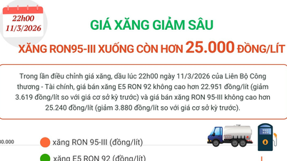 A benzin ára meredeken csökkent, a RON95-ös benzin literenként valamivel több mint 25 000 VND-ba kerül.