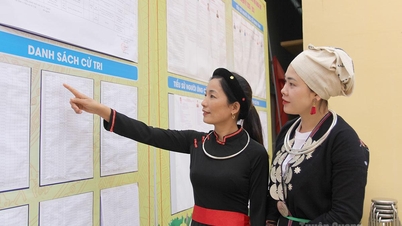Vận động bầu cử dân chủ, minh bạch và đúng pháp luật