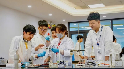 Xu hướng tuyển dụng quý II/2026: Việt Nam có triển vọng lạc quan, xếp thứ 4 toàn cầu