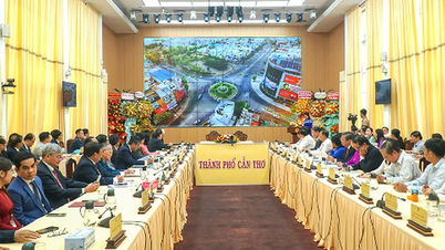 Can Tho menyetujui Proyek Pengembangan Kota Pintar, yang bertujuan untuk transformasi digital dan transformasi hijau.