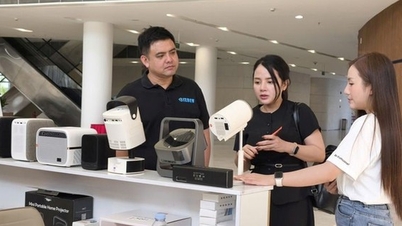 Strengthening the enforcement of intellectual property rights in Hai Phong city.
