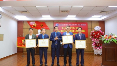 Conferência de Representantes dos Trabalhadores Portuários de Hai Phong 2026: “Unidade – Inovação – Desenvolvimento Sustentável”