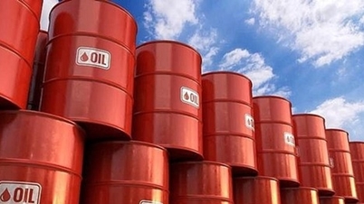 Yakıt fiyatları litre başına 7.966 VND'ye varan oranda keskin bir düşüş gösterdi ve enerji çeşitlendirme stratejileri uygulanıyor.