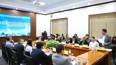 Thứ trưởng Hoàng Đạo Cương: Cần thúc đẩy phát triển du lịch biển đảo tỉnh Quảng Ngãi theo hướng bền vững, hiệu quả và phù hợp với xu thế phát triển chung
