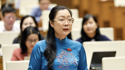 El Vicepresidente de la Provincia de Vinh Long se convierte en Viceministro de Educación y Formación.