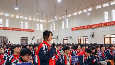 Young people in Lang Son are actively seeking information about the election.