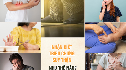 কিডনি বিকল হওয়ার লক্ষণগুলো কীভাবে চিনবেন?