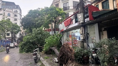 Le nom du typhon TOMO a été changé ; il s'appelait auparavant typhon YAGI.