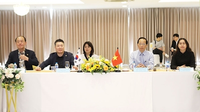 Memperkuat hubungan investasi dan perdagangan antara Vinh Long dan Kota Daejeon (Korea Selatan)