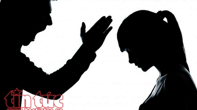 Prevención y lucha contra la violencia doméstica: desarrollo de modelos de apoyo a las víctimas en la comunidad.