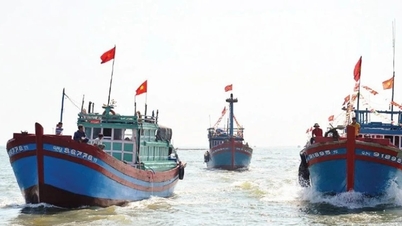 Proactively adapt to fuel prices to expand offshore fishing and maintain a presence at sea.